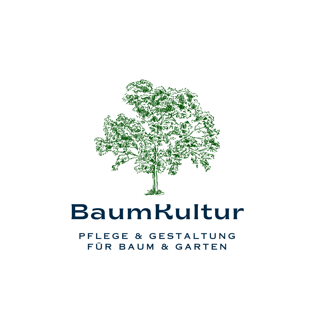 BaumKultur-Wennigsen